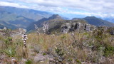 Shiquiconga mountain in the background