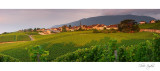 Pano_DS303164_DS303170