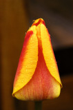 2008-05-01.jpg