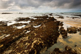 2009-03-21 San Mateo Coast4-19.jpg