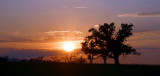 Ashlandcan Plains Landscape