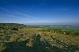 distant didcot