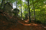 Forest Path, Turnov