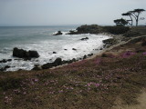 Pacific Grove IV