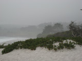 Carmel Beach Sand Dunes