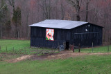 Kentucky Barn Quilt