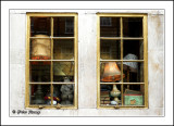 Shady Windows.