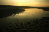 Holkham Beach