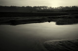 Holkham