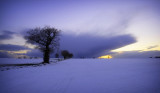 Winters Last Gasp