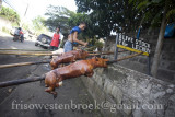 16 Lechon Baboy/Roast Pig