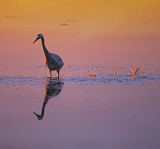 Dinnertime Black Neds Bay. NSW.jpg