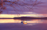 Rowboats  Black Neds Bay.jpg