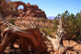 Arches National Park Utah.jpg