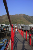 Tai_O008.jpg