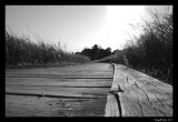 Boardwalk #2