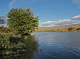 Prosser WA. along the Yakima River