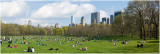 Spring in Sheep Meadow