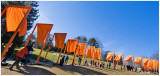 The Gates by Christo & Jeanne-Claude 7