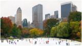 Autumn at Wollman Rink