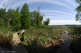 Pax River Marsh