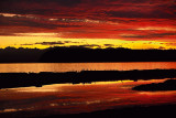 Whidbey Sunset