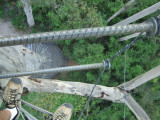 Looking Down From Bicentennial Tree Stairway