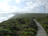 Wind Farm at Albany