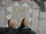 Imperial Garden, Forbidden City (2009)