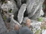 Stone Forest, Kunming (2009_