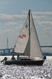 DSC_5621.jpg
