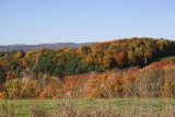_MG_1477_cs3_web.jpg