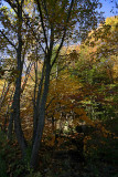 _MG_1523_cs3_web.jpg