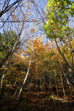 _MG_1552_cs3_web.jpg