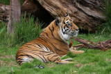 Beautiful Djelita
