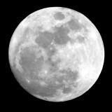 moon 100_crop IMGP0528.jpg