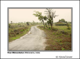 Road in Bhimashankar 2 .jpg
