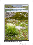 Hemkund Sahib 6