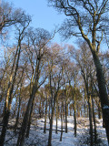 Hermitage of Braid