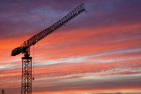 Crane in sunset
