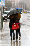 Red bag in whitish (redish) spring rain