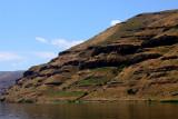 along the Snake River near Clarkston