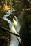 Sol Duc from the footbridge