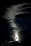 Moonlight Reflection_NBP4871.jpg