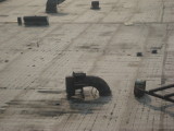 IMG_455roof.JPG
