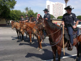 Parade 74 LAPD Mounted Police.jpg