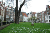 Begijnhof - a peaceful oasis in the heart of the city