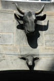 the facade of the old meat market is decorated with animal heads