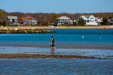 A walk in the beach