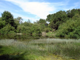 Sobey Pond